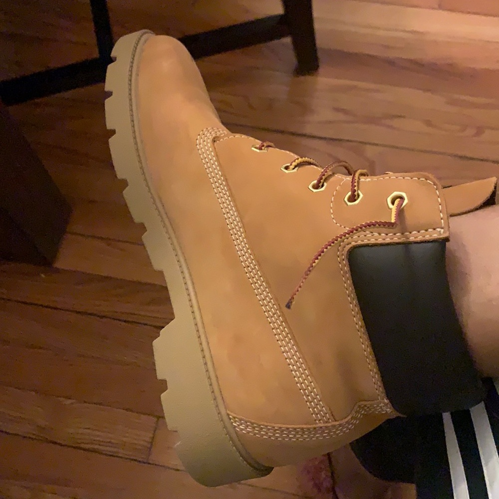 Sued buck timberlands